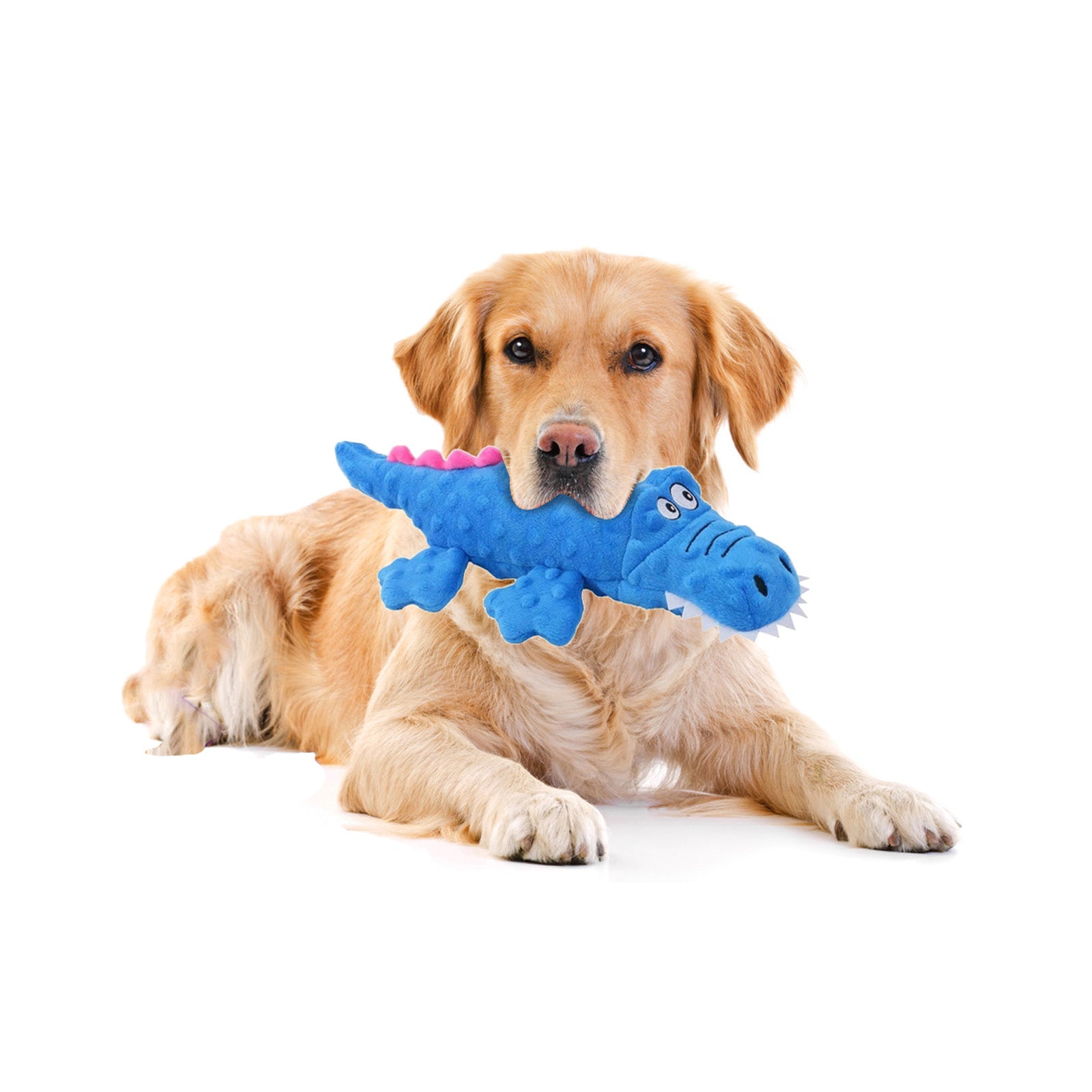 Dog Companion-Squeaky Crocodile Dog Toys,Durable Plush Dog Chew Toys for Small,Medium and Large Pets,Interactive Dog Toys for Boredom.(Blue+Green)