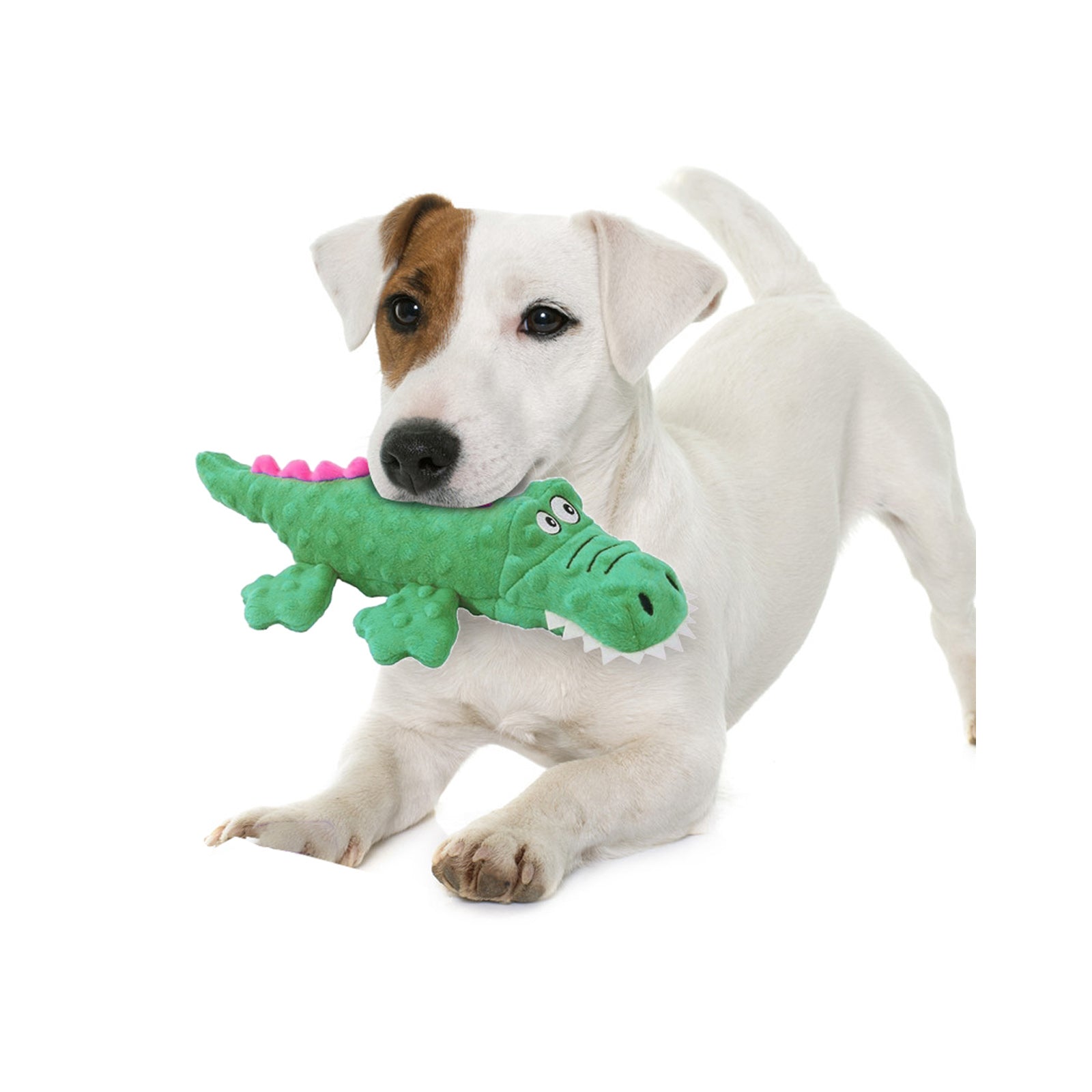 Dog Companion-Squeaky Crocodile Dog Toys,Durable Plush Dog Chew Toys for Small,Medium and Large Pets,Interactive Dog Toys for Boredom.(Blue+Green)