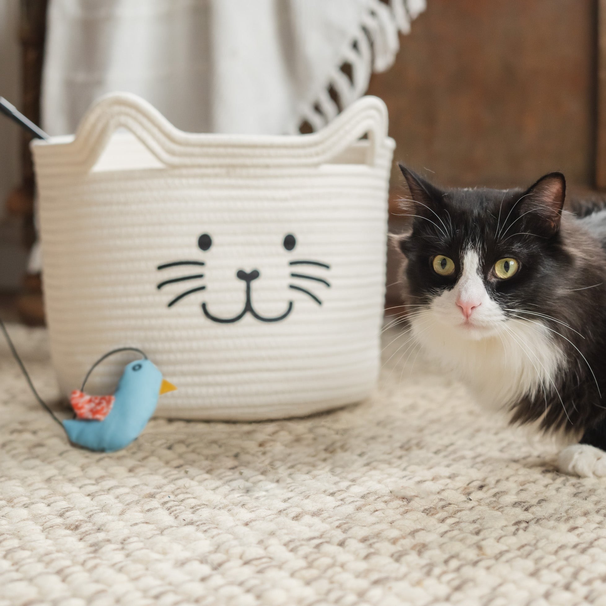 Kitty Cat Rope Basket