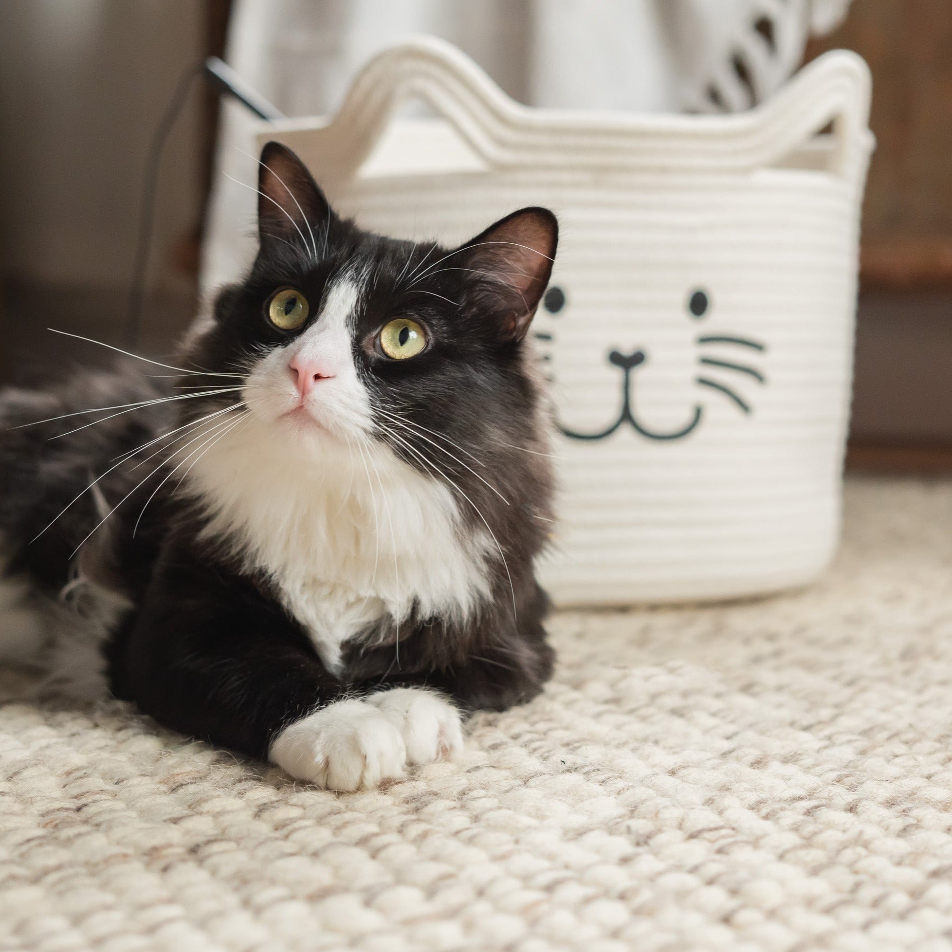 Kitty Cat Rope Basket