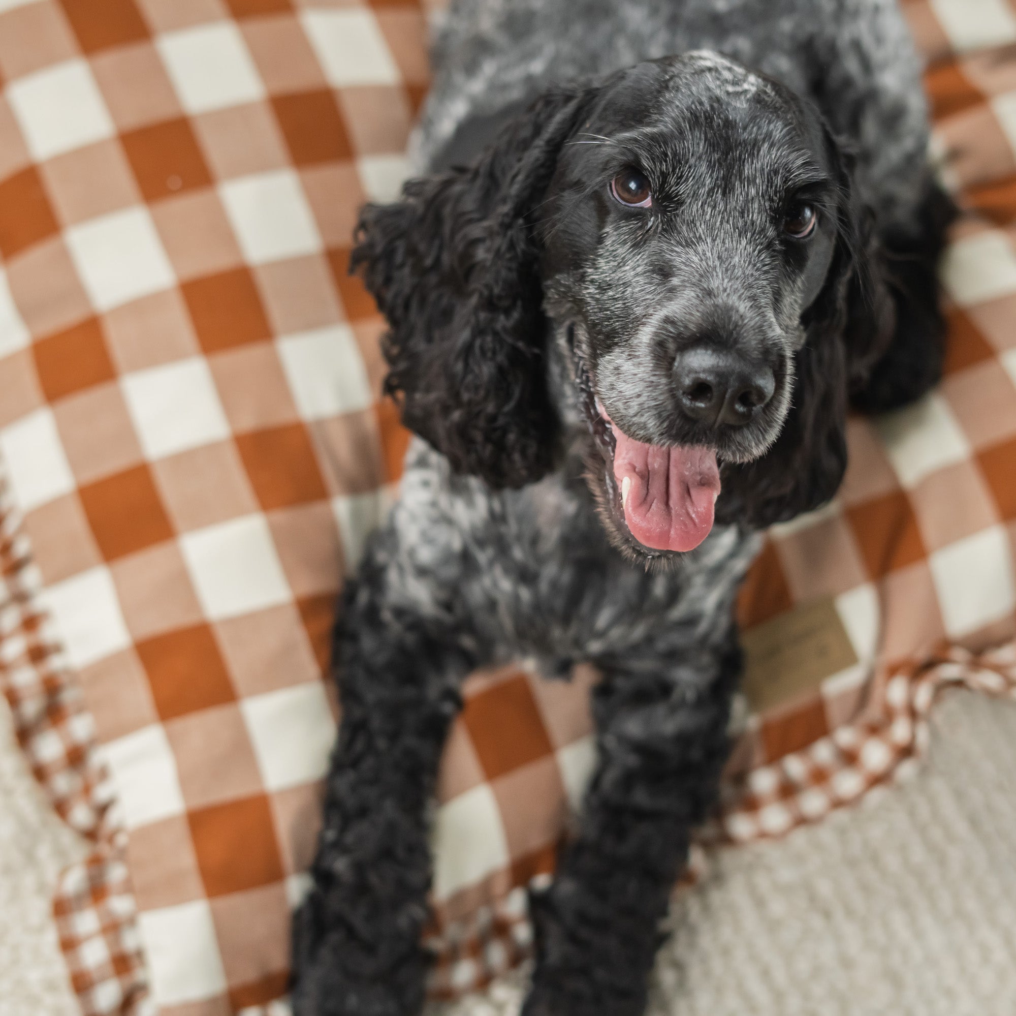 Vintage Brown Gingham Envelope Dog Bed