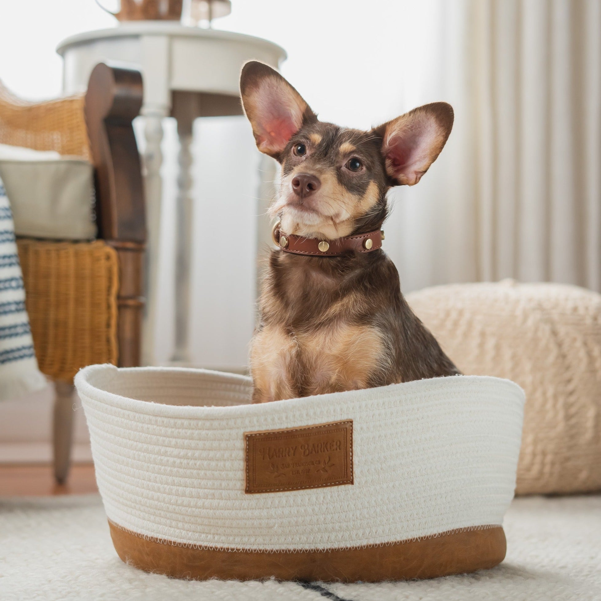 Woven Rope Basket Bed