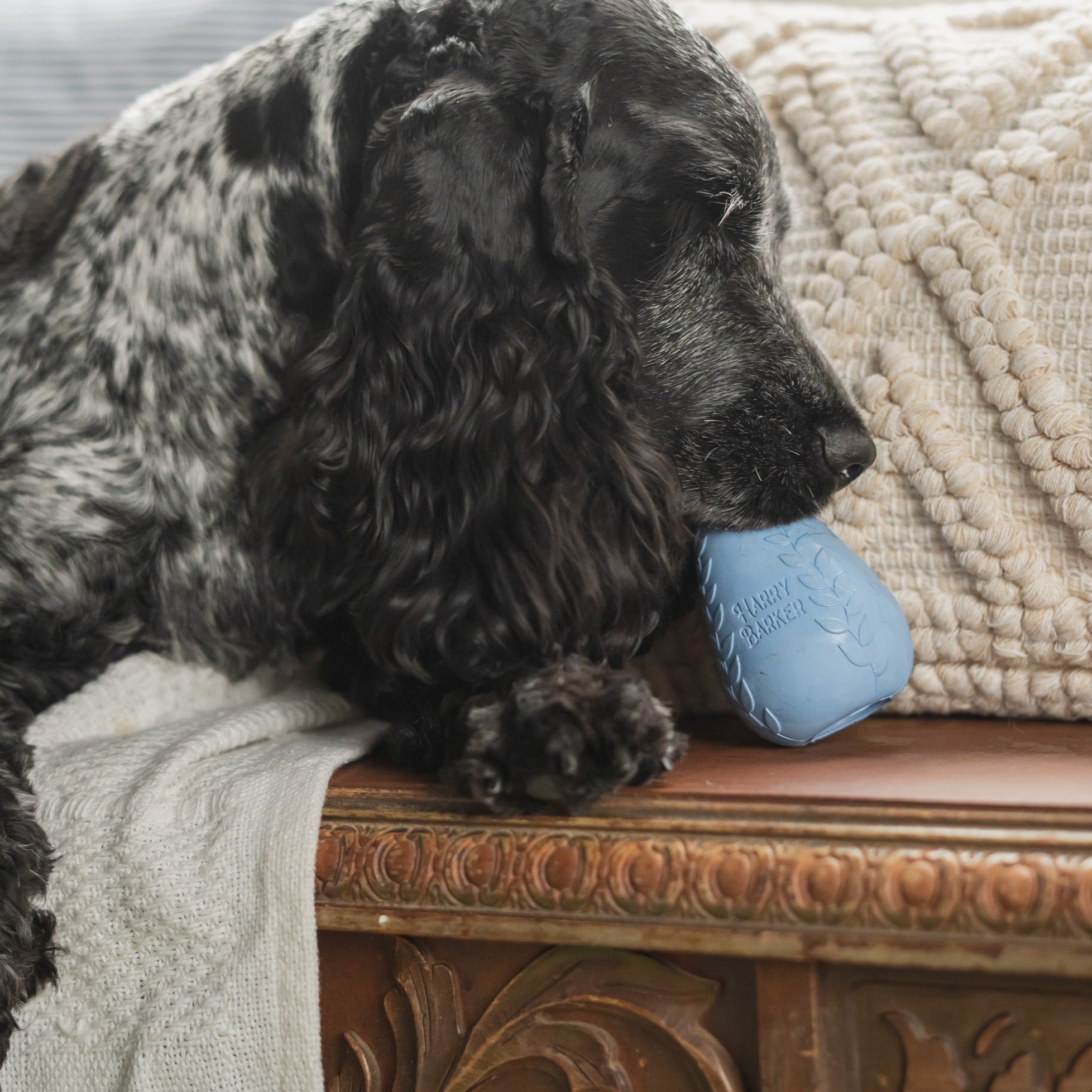 Durable Rubber Treater Toy