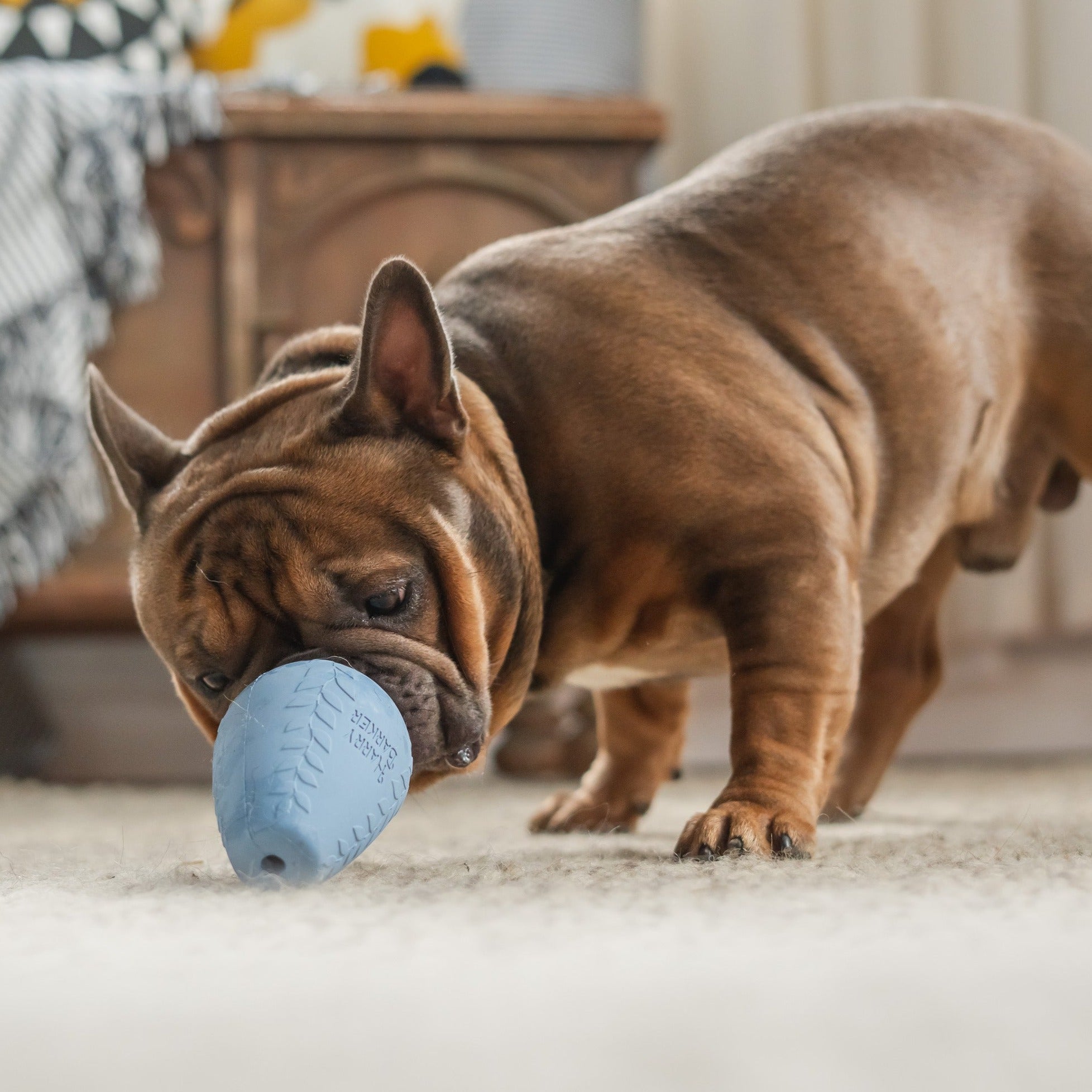 Durable Rubber Treater Toy