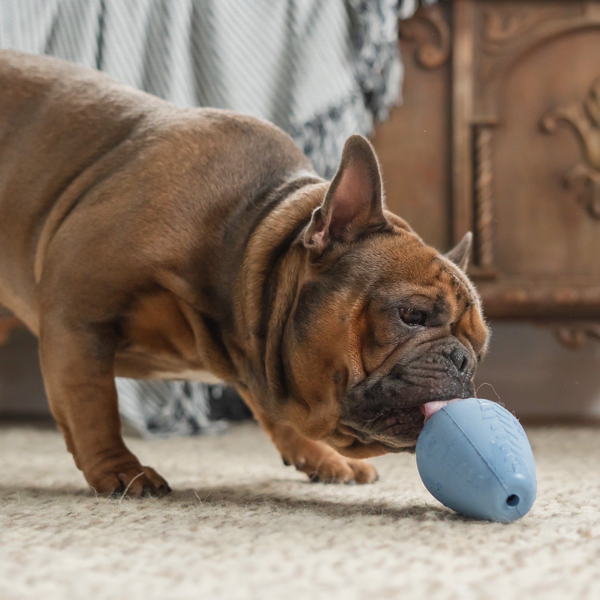 Durable Rubber Treater Toy