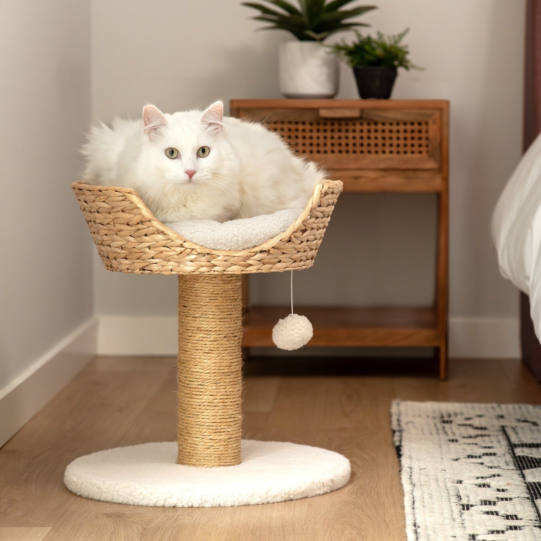 Cat Scratching Post with Wicker Bed