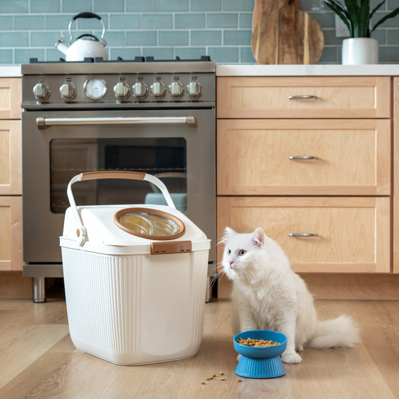 Raised Slanted Cat Bowl Set - Blue