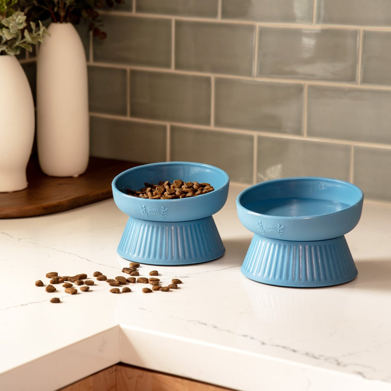 Raised Slanted Cat Bowl Set - Blue