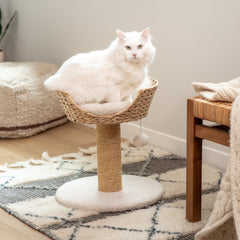 Cat Scratching Post with Wicker Bed