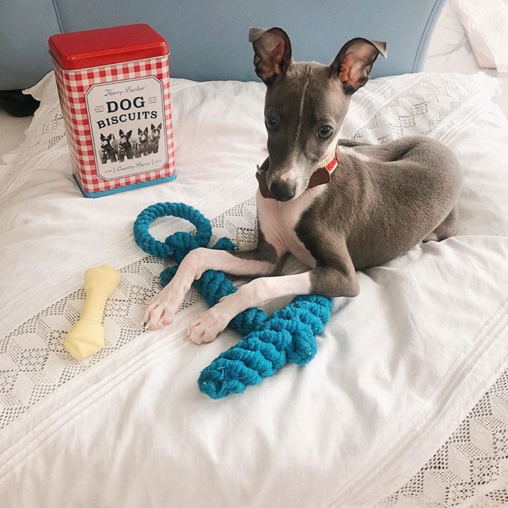 Anchor-Knotted Cotton Rope Toy