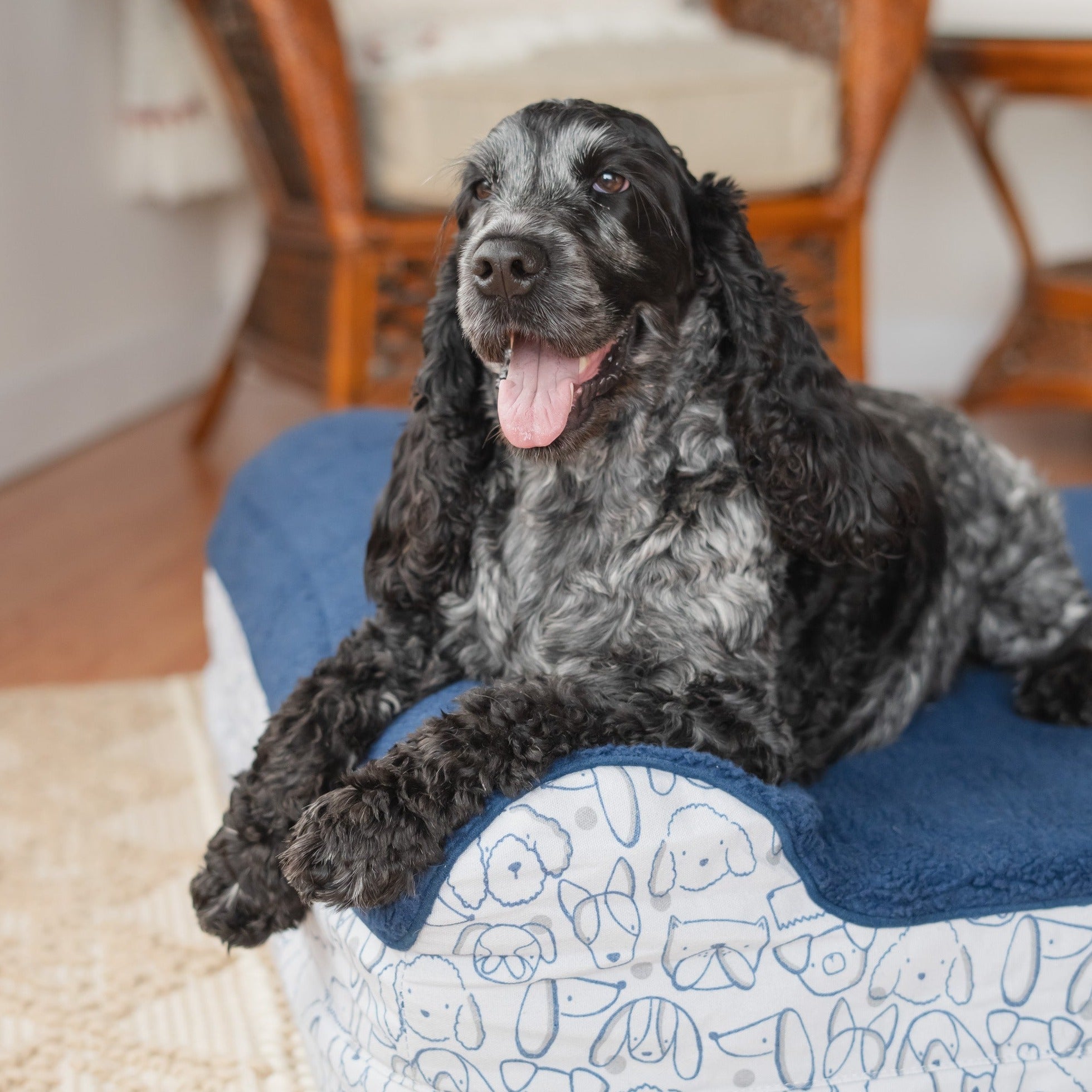 Orthopedic Pet Bed