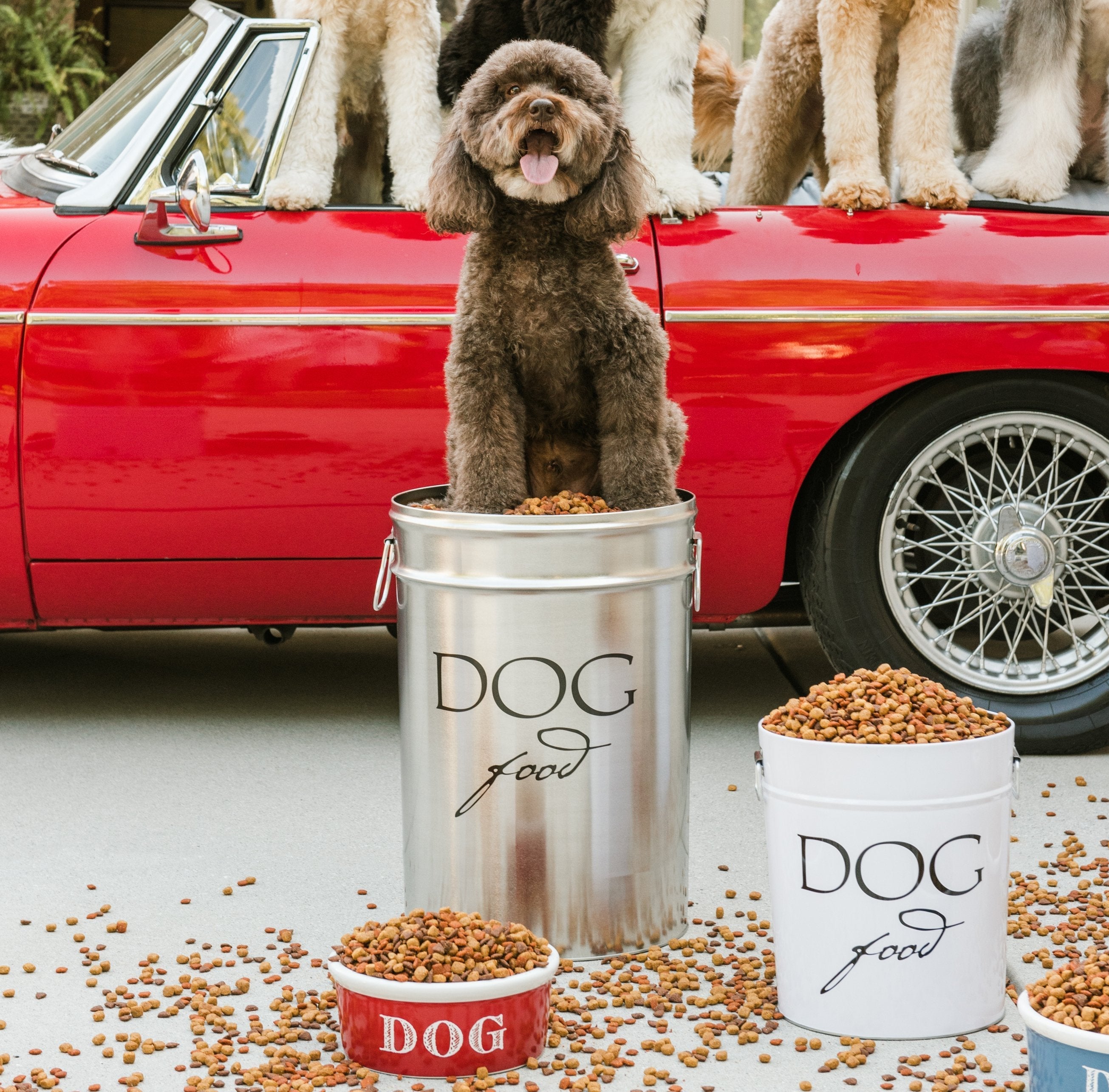 Classic Food Storage Canister